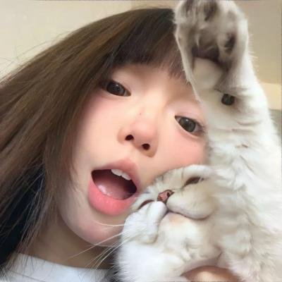 舞宫双凤